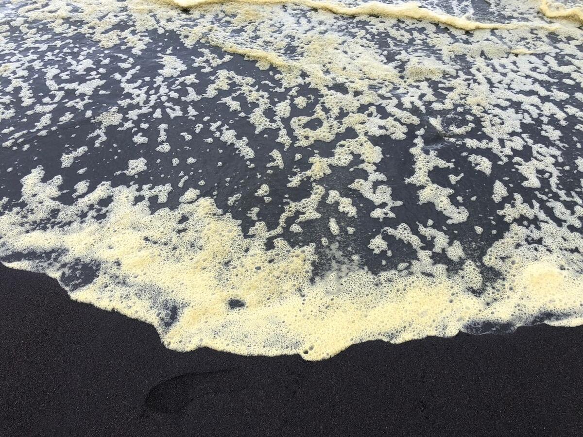 RUSSIA, ATTIVISTI DI GREENPEACE TESTIMONI DI UN DISASTRO AMBIENTALE IN CORSO IN KAMCHATKA