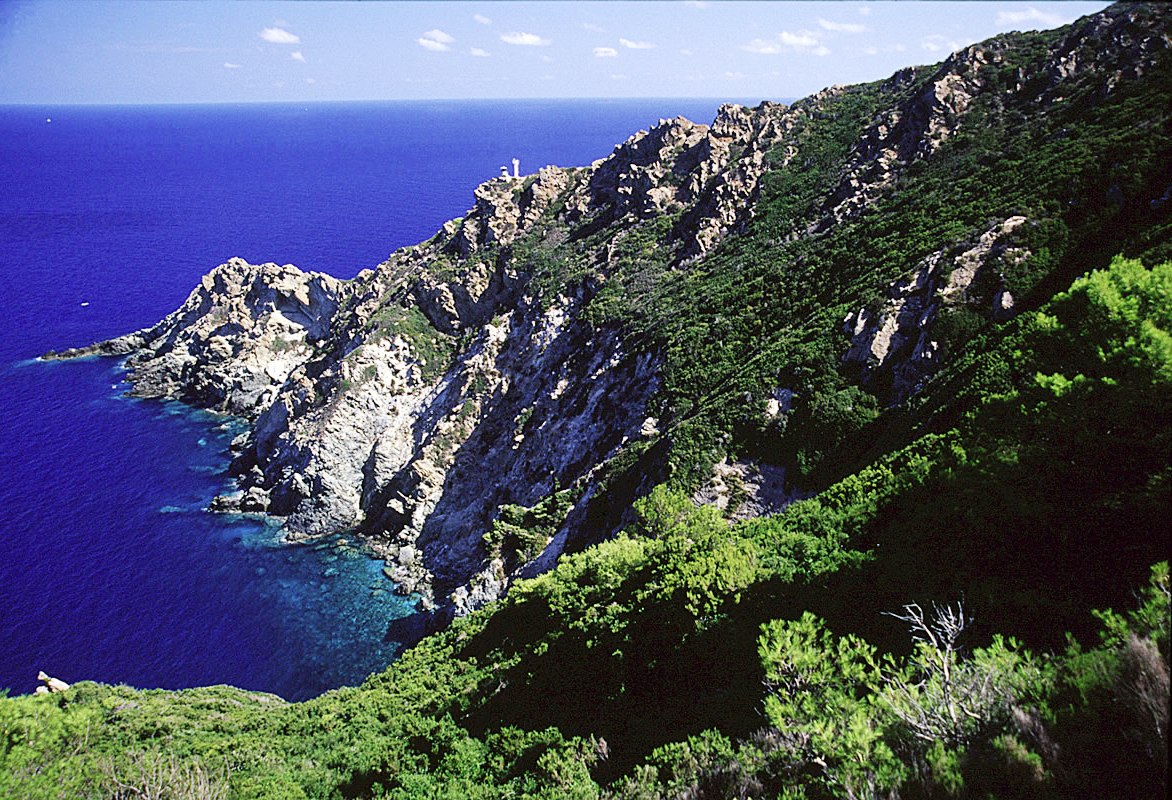 Il Parco Nazionale Arcipelago Toscano ha presentato al Ministero dell’Ambiente richiesta di finanziamento per interventi di efficientamento energetico, mobilità sostenibile, mitigazione e adattamento ai cambiamenti climatici per 3,5 milioni di euro