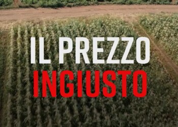 PRESADIRETTA Rai3: “IL PREZZO INGIUSTO” un viaggio nell’entroterra della Toscana, un racconto drammatico sulla crisi del settore dei fiori e dei vini più famosi del mondo