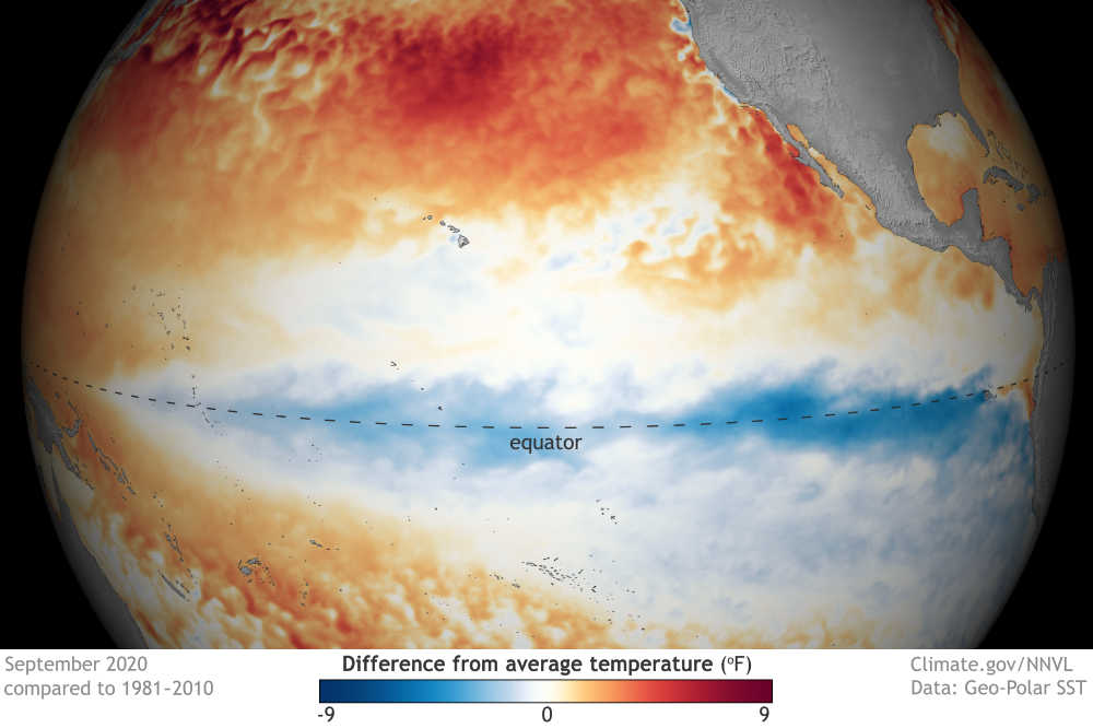 La temperatura della superficie del mare di settembre 2020 rispetto alla media 1981-2010. Immagine da Data Snapshots su Climate.gov.