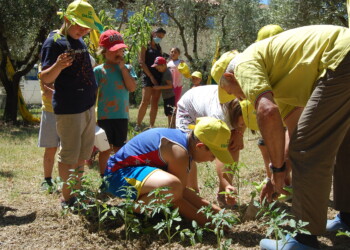 2 OTTOBRE, Festa dei Nonni – Coldiretti Marche, in campagna 1800 over 80 tra salute e memoria della tradizione rurale