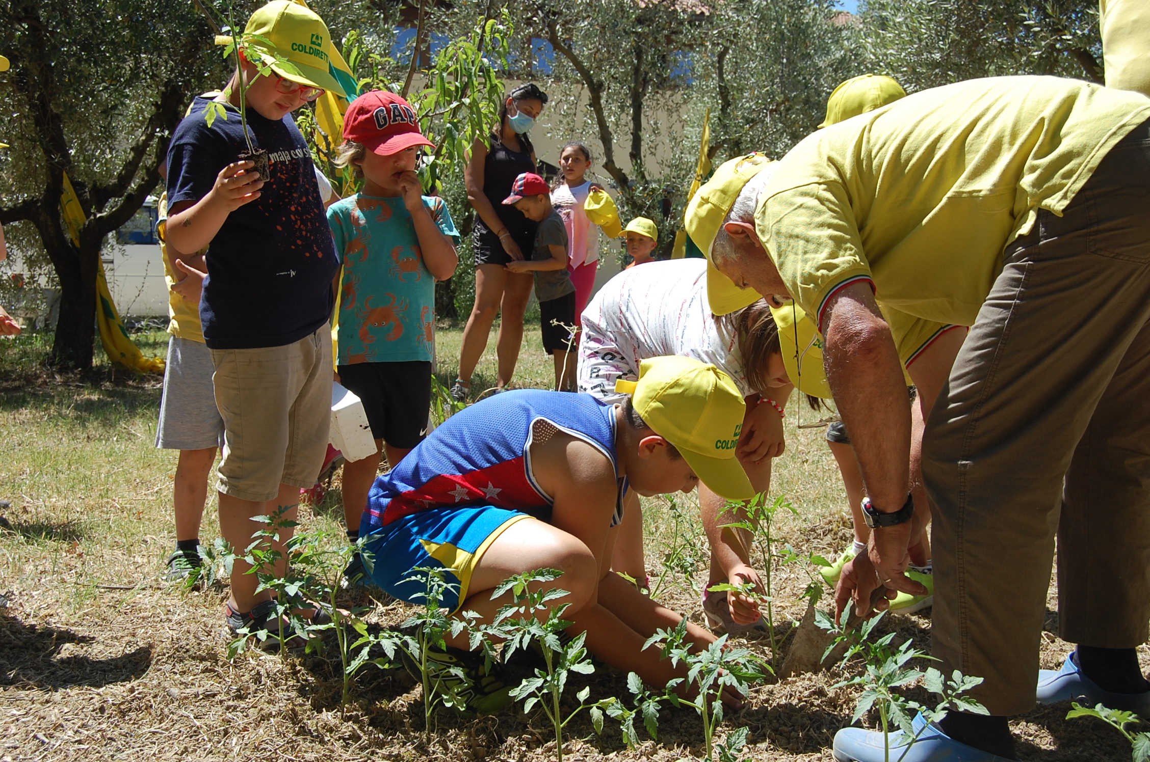 2 OTTOBRE, Festa dei Nonni – Coldiretti Marche, in campagna 1800 over 80 tra salute e memoria della tradizione rurale