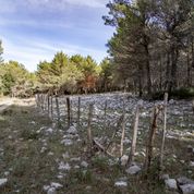 LEGAMBIENTE E GRAN CEREALE LANCIANO L’INIZIATIVA “I CUSTODI DELLA BIODIVERSITÀ”, PROGETTO DI EDUCAZIONE AMBIENTALE PER GLI STUDENTI DELLE SCUOLE ELEMENTARI E MEDIE DELLE ZONE LIMITROFE AI BOSCHI SALVAGUARDATI NELL’AMBITO DELLA CAMPAGNA MOSAICO VERDE