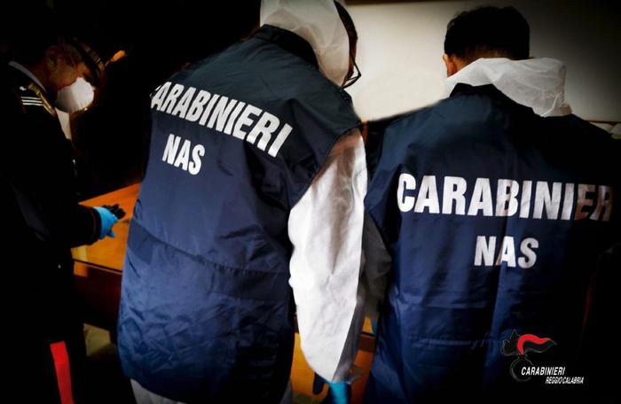 Controlli Nas in 1161 Rsa, 2 su 10 irregolari