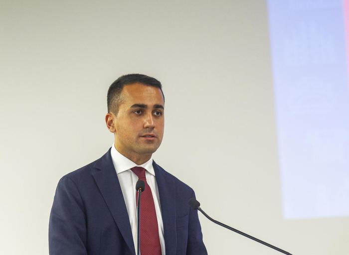 Covid: Di Maio, entro fine anno le prime dosi di vaccino