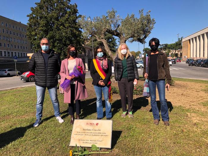 Cucchi:per Stefano un albero davanti a università ‘Sapienza’
