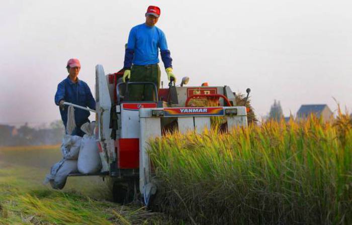 Divario alimentare, che ruolo può avere il 5G