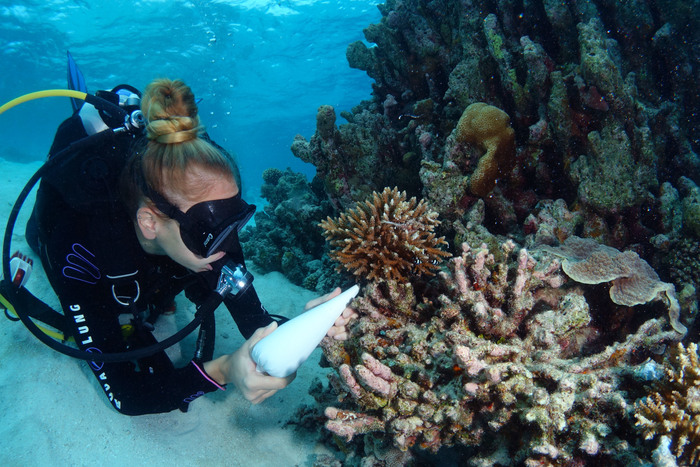 Expo Dubai: Galli, così salviamo Maldive dal climate change