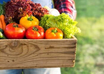 CONFAGRICOLTURA FVG: LA CHIUSURA ALLE 18 È UNA BASTONATA SU TUTTA LA FILIERA AGROALIMENTARE