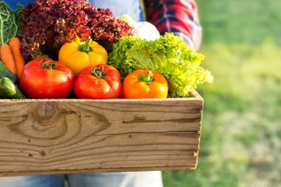 CONFAGRICOLTURA FVG: LA CHIUSURA ALLE 18 È UNA BASTONATA SU TUTTA LA FILIERA AGROALIMENTARE