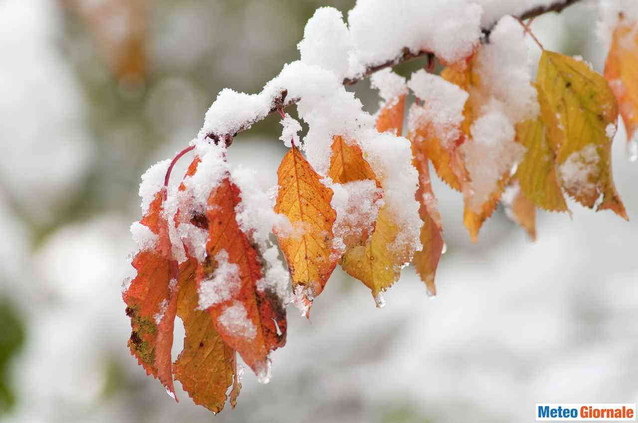 La neve si posa sui colori d'autunno