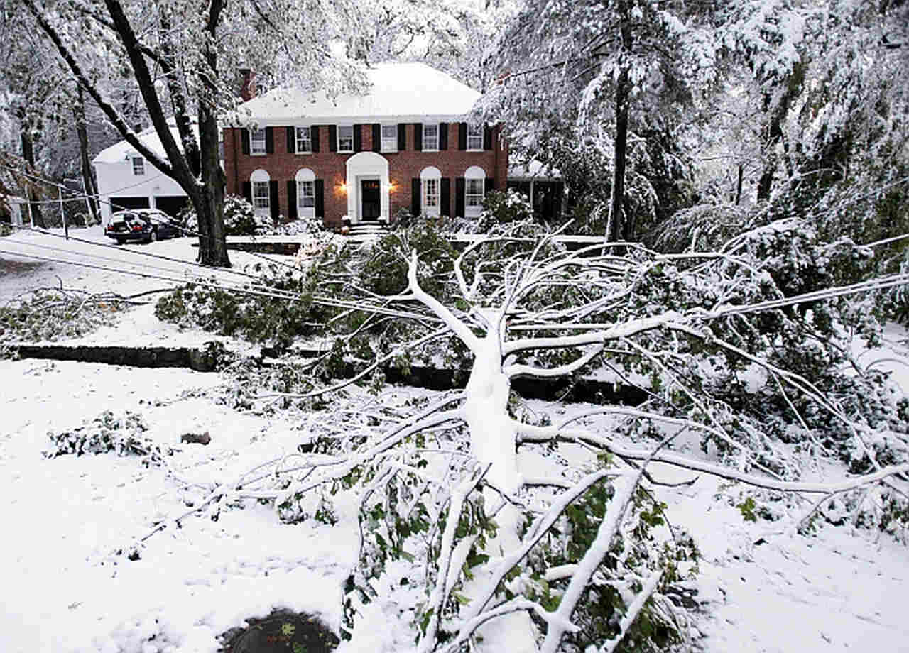 La neve nell'area di New York di fine ottobre 2011