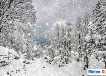 NEVE in arrivo, copiosa anche in Appennino. Ecco tutti i dettagli