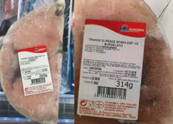 Pesce spada surgelato Acquario richiamato per presenza di mercurio