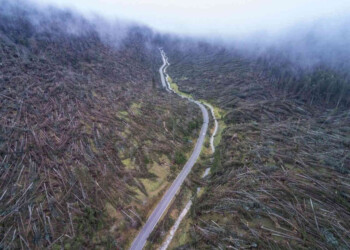 TEMPESTA VAIA, un evento meteo epocale. Venti estremi ad oltre 200 all’ora