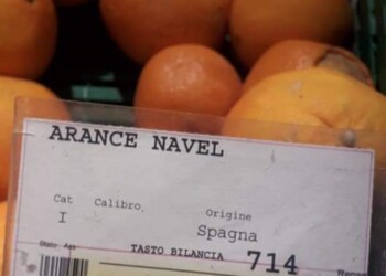 Gravissimo stato di crisi del settore agrumicolo delle clementine nel golfo di Taranto