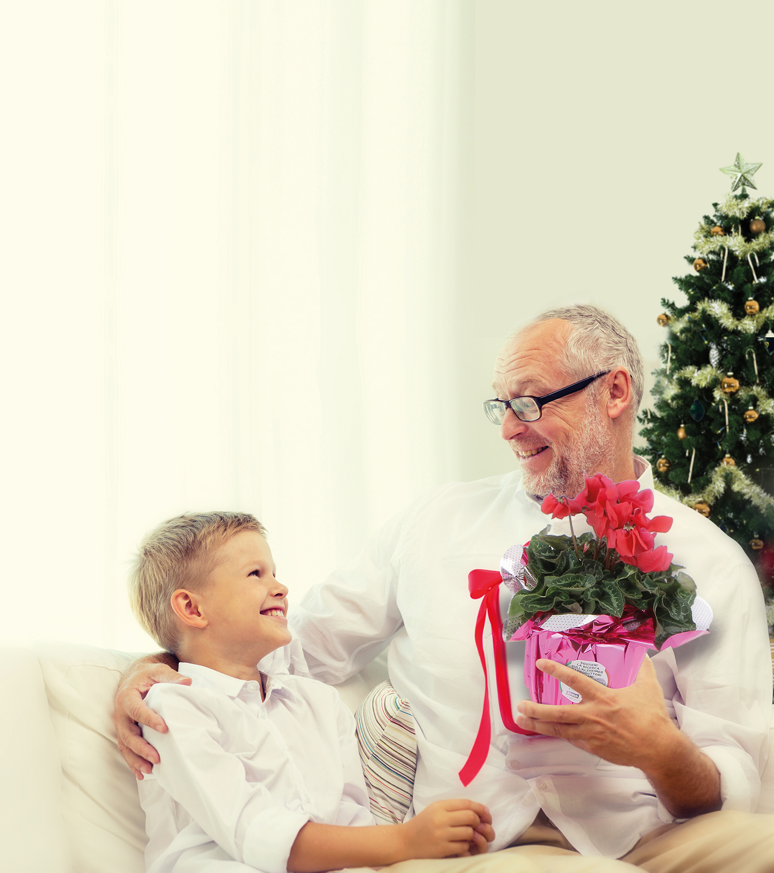 Un regalo solidale per il NATALE 2020: grazie all’Associazione Italiana Ricerca Alzheimer Onlus
