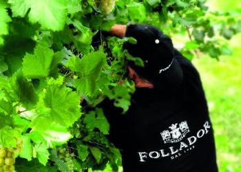 FOLLADOR AL FIANCO DELLE DONNE CON IL NUOVO PROSECCO DOC TREVISO ROSÈ BRUT