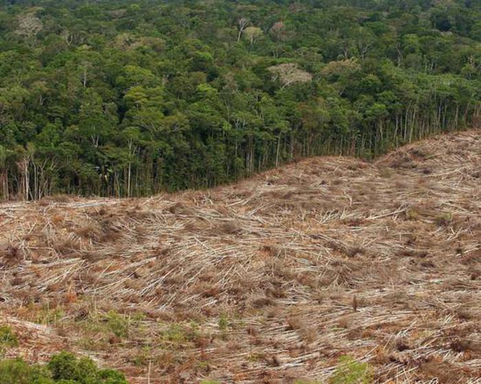 Amazzonia: Bolsonaro, denunceremo i Paesi che deforestano