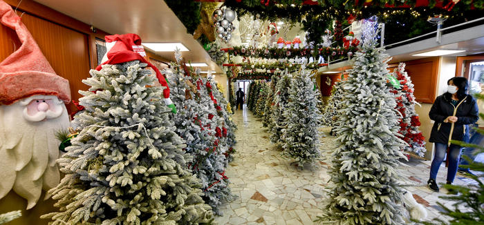 Boccia, a Natale ‘solo con i parenti più stretti’