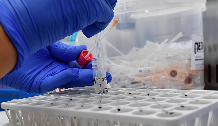 Covid: Marche, 479 positivi in 24ore su 1.789 nuove diagnosi