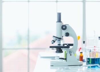 Diploma plc aumenta il dividendo annuale dopo la forte performance del Q4