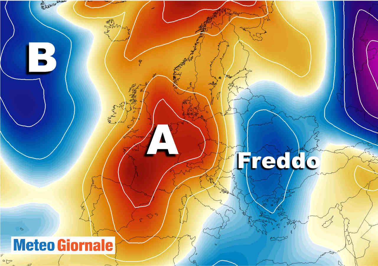 aria-fredda