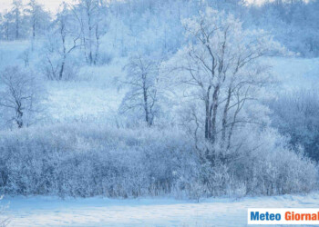 Gelo e neve in pianura a fine novembre, non mancano eventi eclatanti
