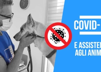 NUOVO DPCM ANTI-COVID. COME ACCUDIRE GLI ANIMALI. IL VADEMECUM DELL’OIPA PER POSSESSORI DI ANIMALI E VOLONTARI