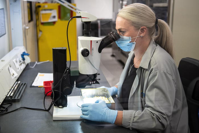 Intestino irritabile, anche un batterio tra possibili cause