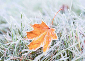 ONDATA di GELO dalla Russia a fine novembre: un caso estremo record