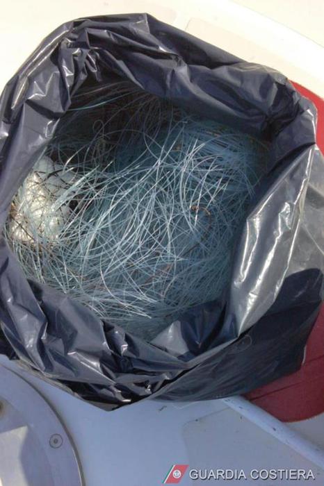 Pesca di frodo, sequestrati palangari in mar Piccolo Taranto