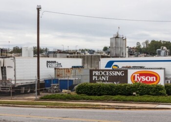 Tyson Foods supera le stime di Wall Street nel Q4