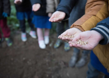 L’11 novembre è la Festa dell’Orto in Condotta Slow Food,una giornata dedicata al tema dell’acqua