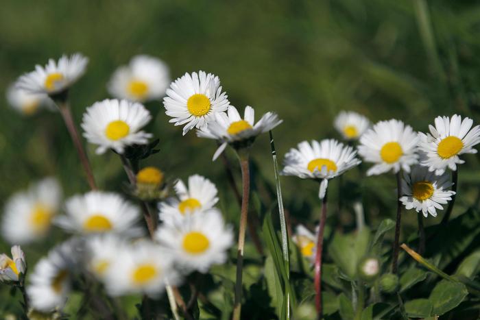 Venerdì 13 nel segno della gentilezza, via pensieri negativi