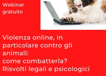 VIOLENZA ONLINE, COME COMBATTERLA. WEBINAR GRATUITO PER TUTTI CON GLI AVVOCATI DI TUTELA DIGITALE E OIPA ITALIA