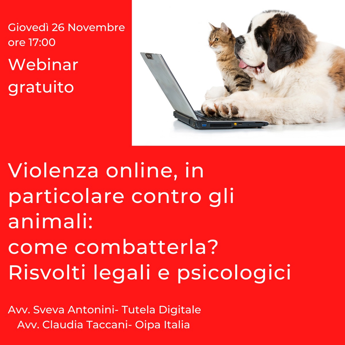 VIOLENZA ONLINE, COME COMBATTERLA. WEBINAR GRATUITO PER TUTTI CON GLI AVVOCATI DI TUTELA DIGITALE E OIPA ITALIA