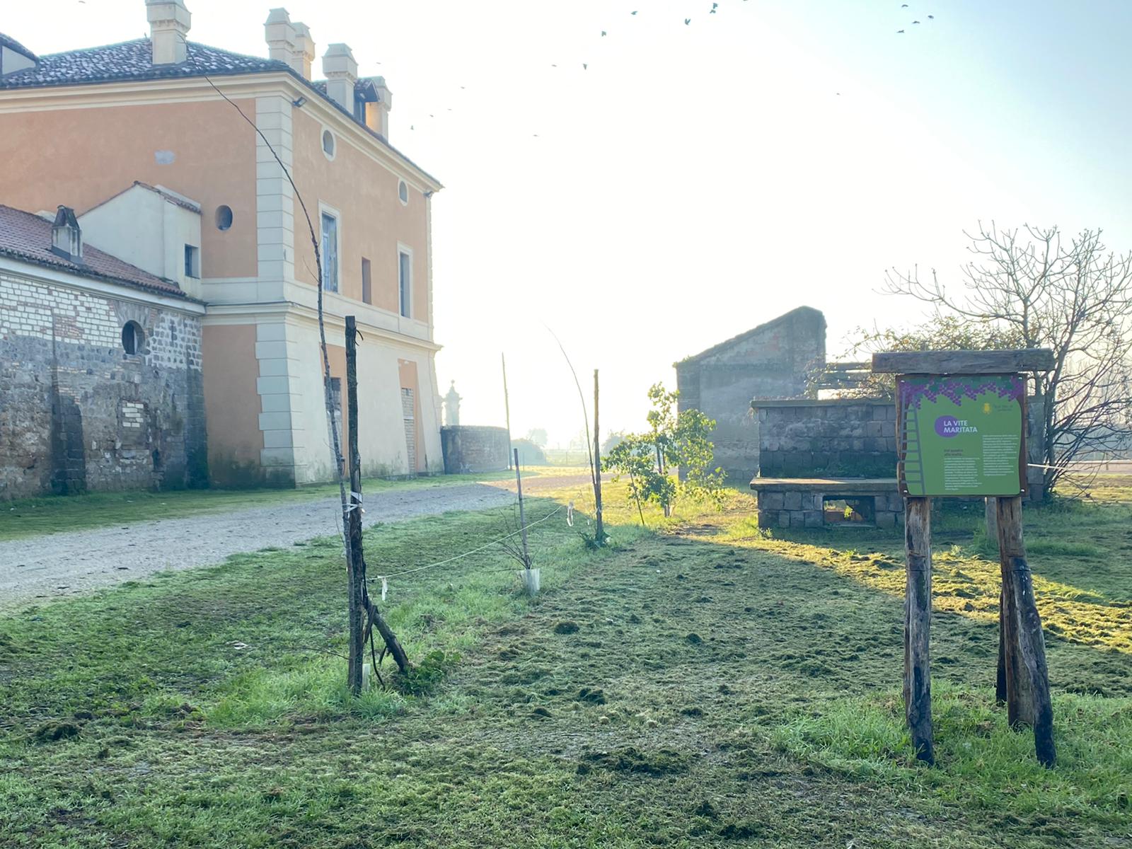 REGGIA CARDITELLO, VINO DI FERDINANDO IV SU MERCATI ESTERI CON VIGNE CHIGI