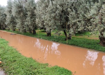Taranto, Cia Due Mari: “Agricoltura sotto acqua e fango”