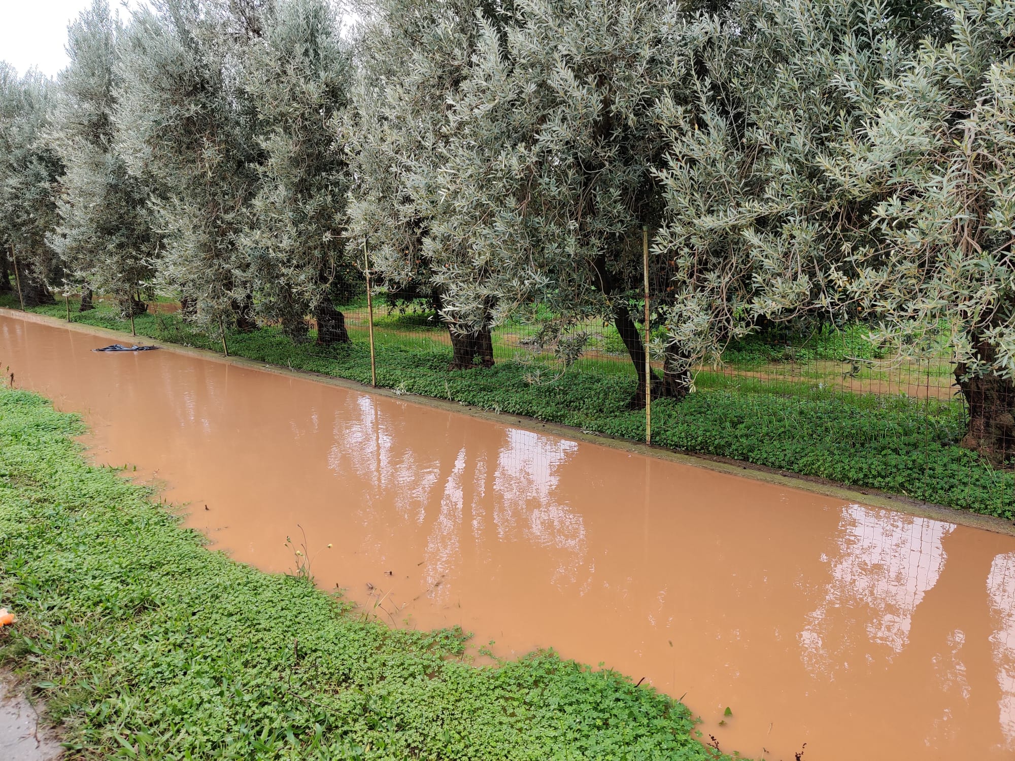 Taranto, Cia Due Mari: “Agricoltura sotto acqua e fango”