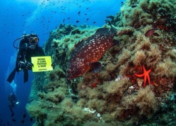 BRIEFING GREENPEACE: ALLUVIONI E TROMBE D’ARIA COLPISCONO L’ITALIA, TRA LE CAUSE IL MARE SEMPRE PIU’ CALDO PER COLPA DEI CAMBIAMENTI CLIMATICI