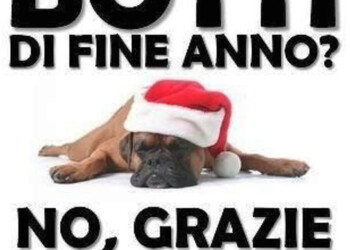 Parte Ufficialmente la Campagna “Basta Botti 2020” da parte del Partito Animalista Italiano per invitare Prefetture e Comuni a Vietare Botti, petardi, mortaretti in questo fine anno