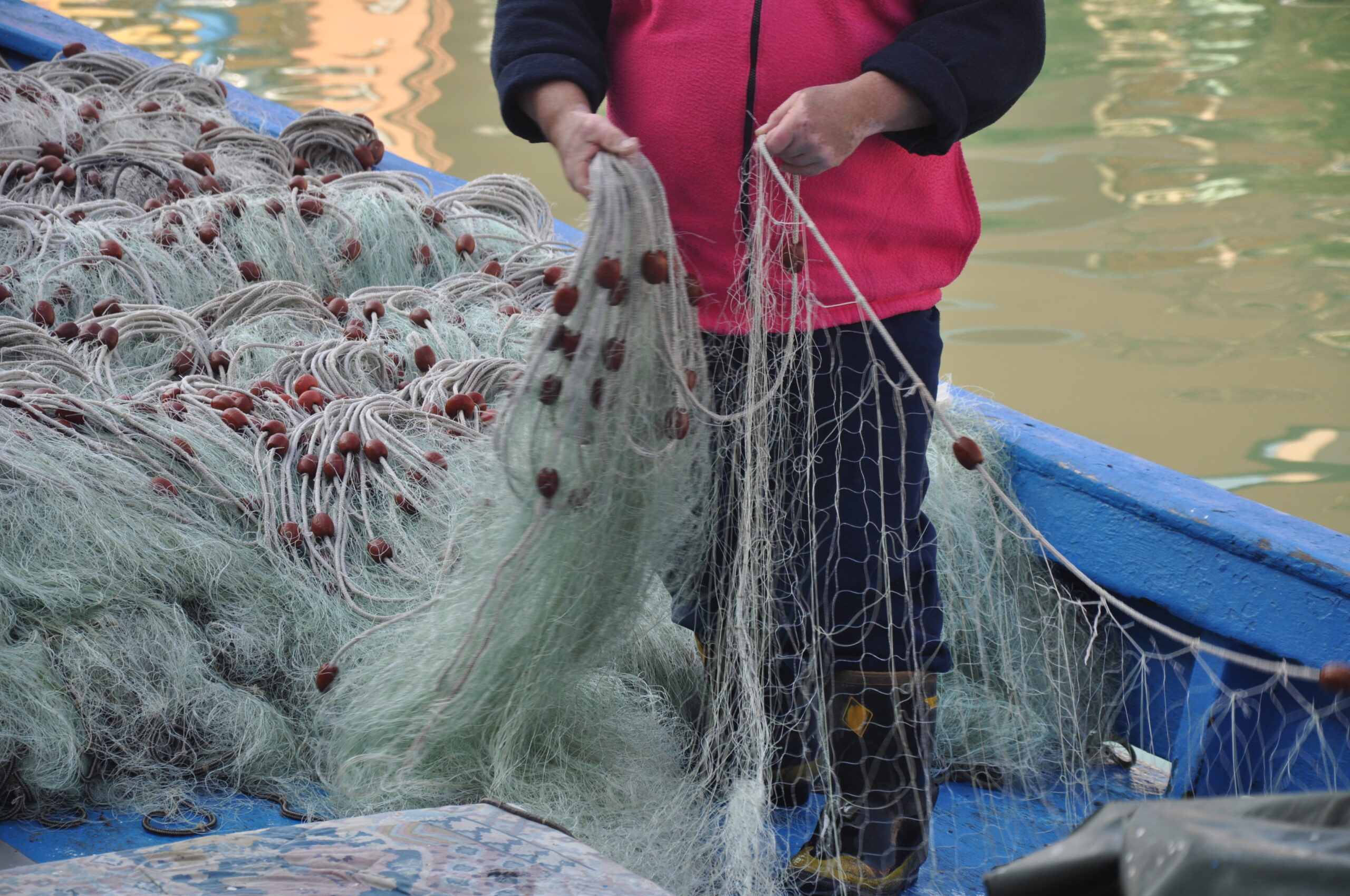 FedAgriPesca e Aci: le filiere della pesca chiedono attenzione in Italia ed Europa