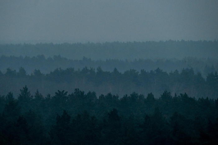 Aipb, crescono in Italia fondi Sri, masse gestite a 173 mld