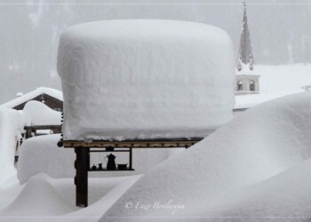 Alpi sepolte di neve: panorami fiabeschi