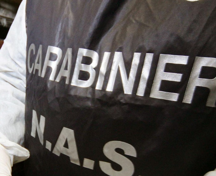 Animali macellati senza controlli sanitari, 6 arresti