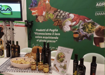 Natale con la Puglia in tavola: al lavoro 5mila aziende di trasformazione