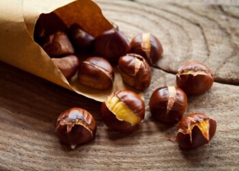 Castagne italiane: la difficile ripresa di un settore d’eccellenza minacciato da parassiti e abbandono