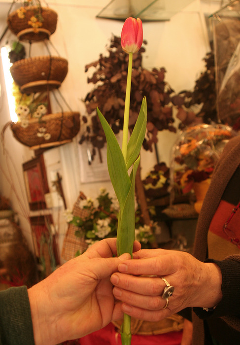 Covid, gentilezze e vicini di casa contro stress da pandemia