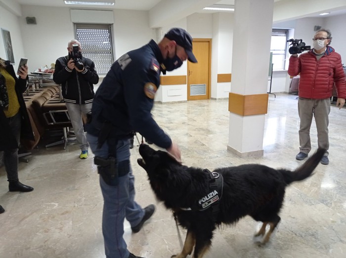 Droga: pusher, “in pochi mesi 150mila euro dai domiciliari”